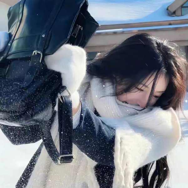 神捕铁飞花之千里缉凶